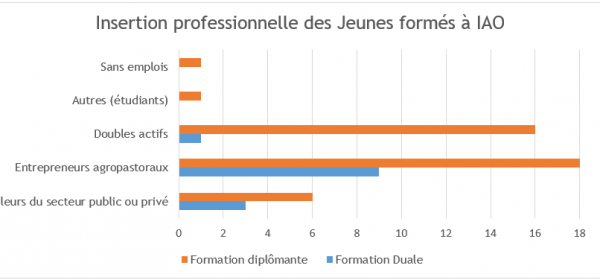 insertion_des_jeunes